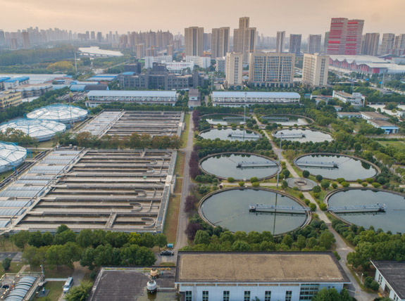 彩虹多多官网-追求健康,你我一起成长