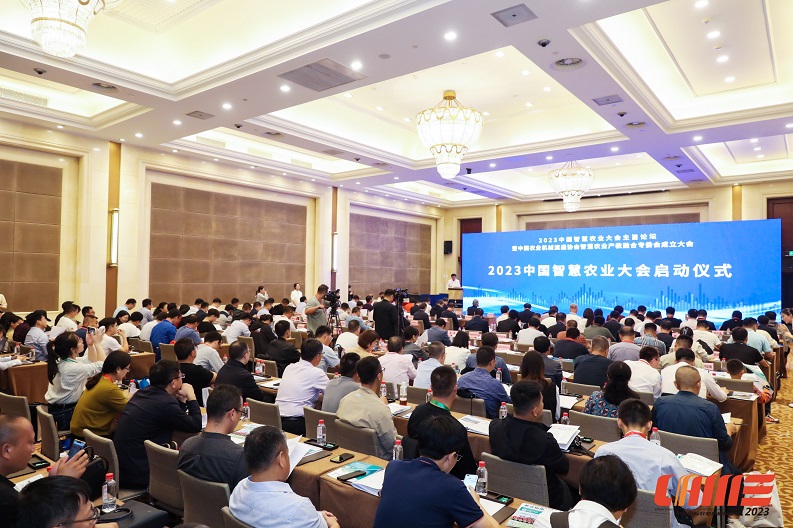 彩虹多多官网-追求健康,你我一起成长