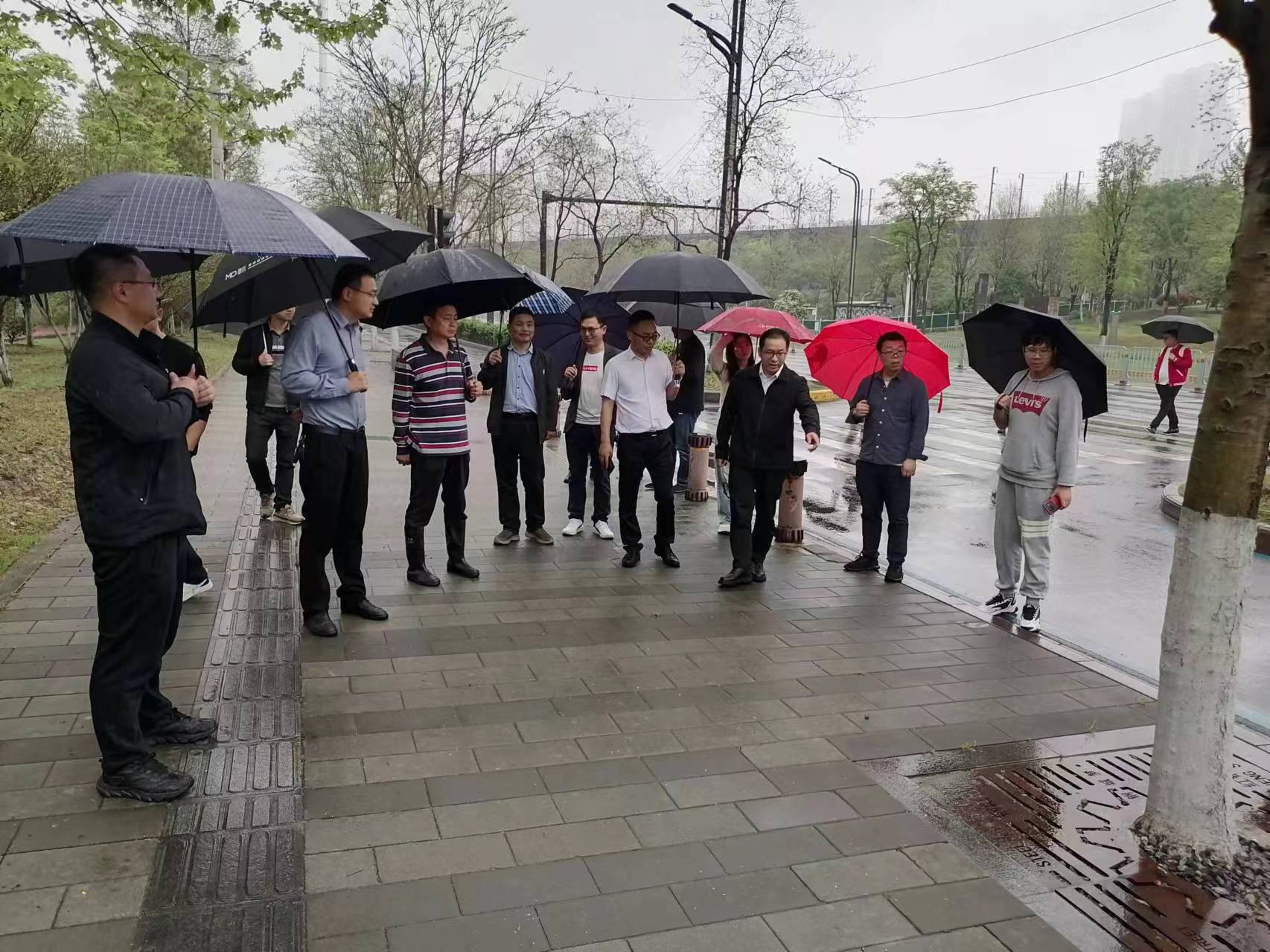 彩虹多多官网-追求健康,你我一起成长