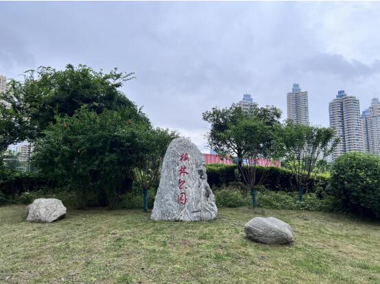 彩虹多多官网-追求健康,你我一起成长