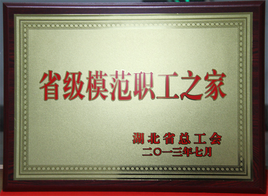 彩虹多多官网-追求健康,你我一起成长