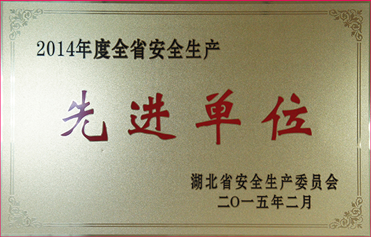 彩虹多多官网-追求健康,你我一起成长