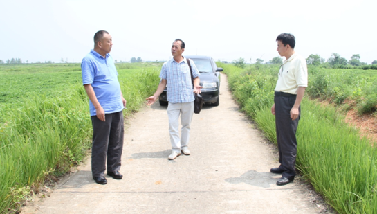 彩虹多多官网-追求健康,你我一起成长