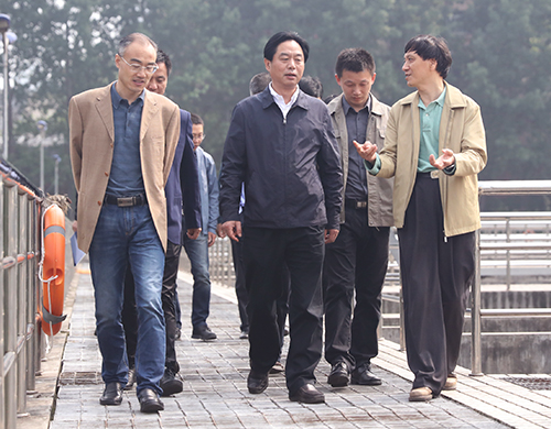 彩虹多多官网-追求健康,你我一起成长