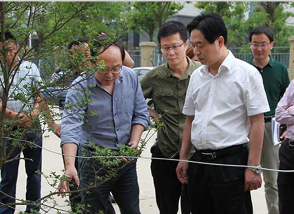 彩虹多多官网-追求健康,你我一起成长