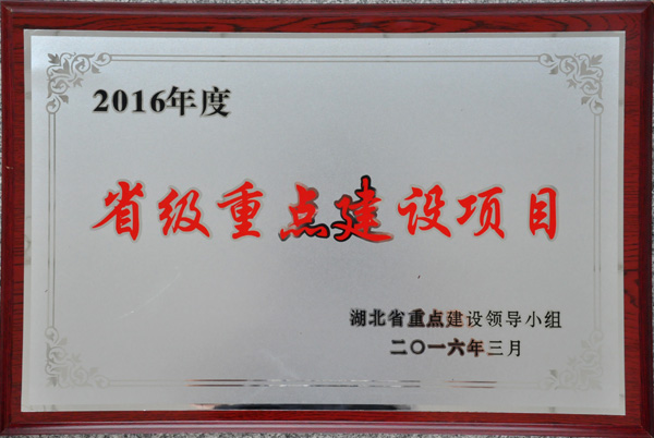 彩虹多多官网-追求健康,你我一起成长