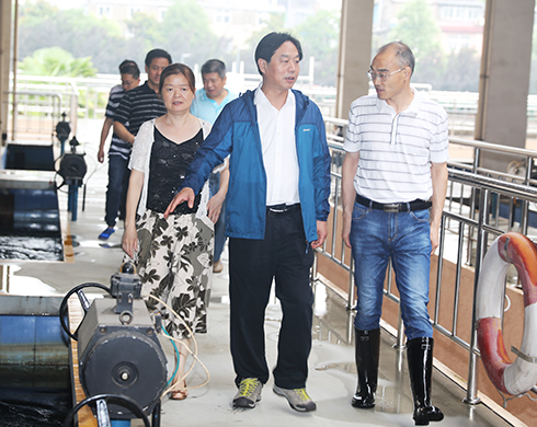 彩虹多多官网-追求健康,你我一起成长