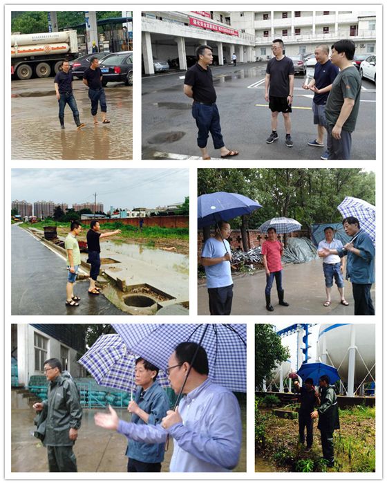 彩虹多多官网-追求健康,你我一起成长