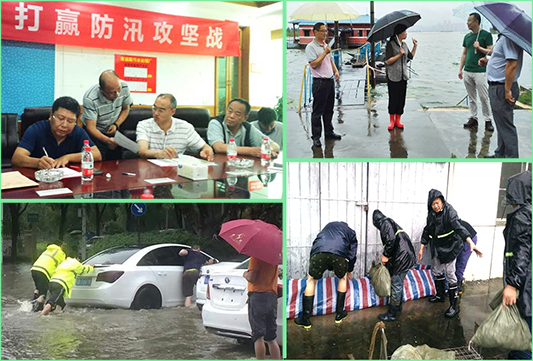 彩虹多多官网-追求健康,你我一起成长