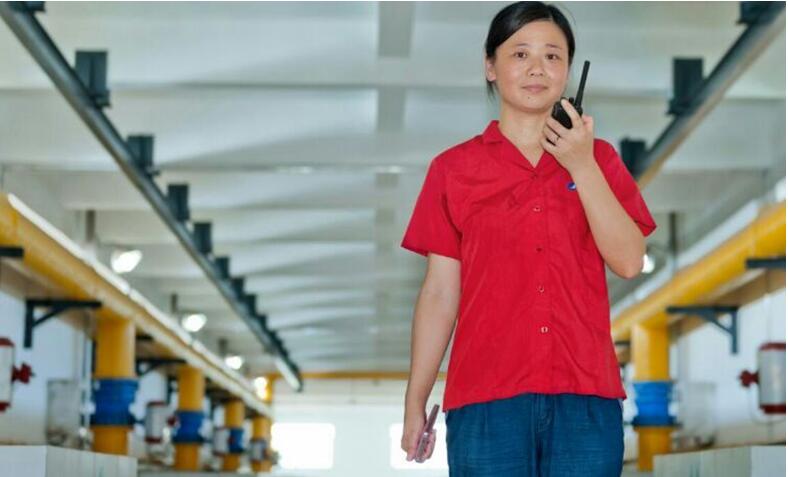 彩虹多多官网-追求健康,你我一起成长