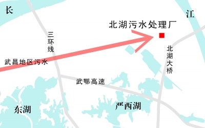 彩虹多多官网-追求健康,你我一起成长