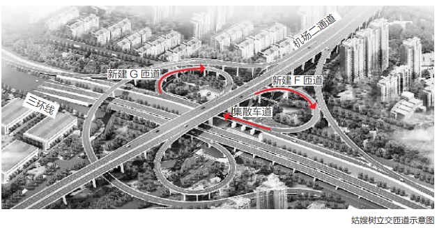 彩虹多多官网-追求健康,你我一起成长