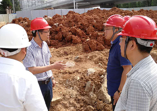 彩虹多多官网-追求健康,你我一起成长