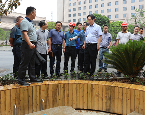 彩虹多多官网-追求健康,你我一起成长