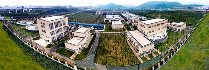彩虹多多官网-追求健康,你我一起成长