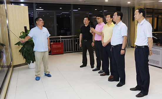 彩虹多多官网-追求健康,你我一起成长