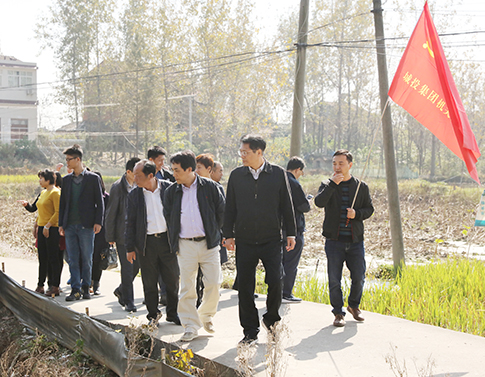 彩虹多多官网-追求健康,你我一起成长