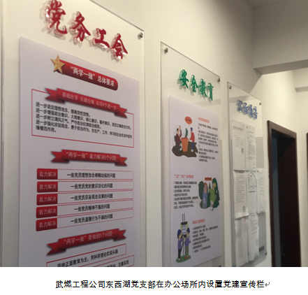 彩虹多多官网-追求健康,你我一起成长