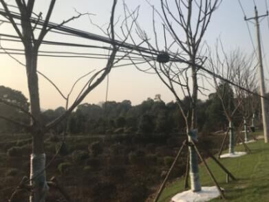 彩虹多多官网-追求健康,你我一起成长