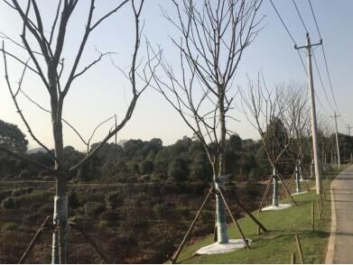 彩虹多多官网-追求健康,你我一起成长