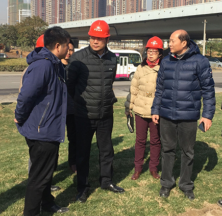 彩虹多多官网-追求健康,你我一起成长