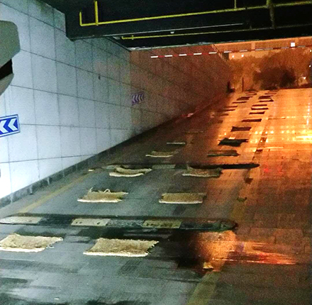彩虹多多官网-追求健康,你我一起成长