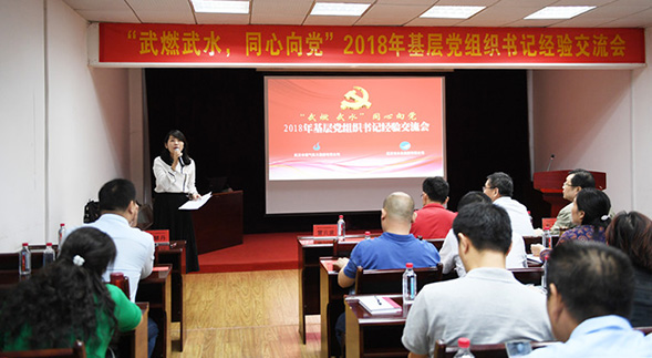 彩虹多多官网-追求健康,你我一起成长