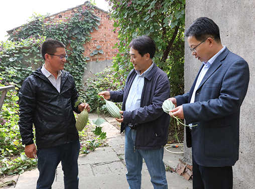 彩虹多多官网-追求健康,你我一起成长