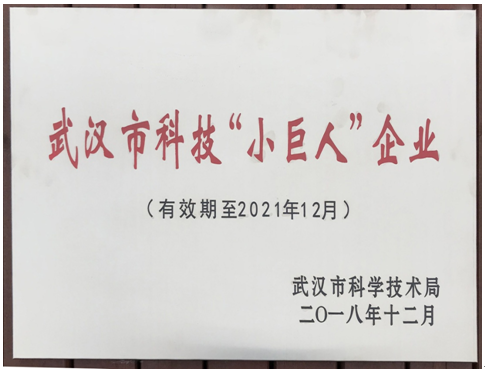 彩虹多多官网-追求健康,你我一起成长