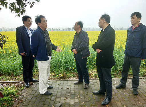 彩虹多多官网-追求健康,你我一起成长