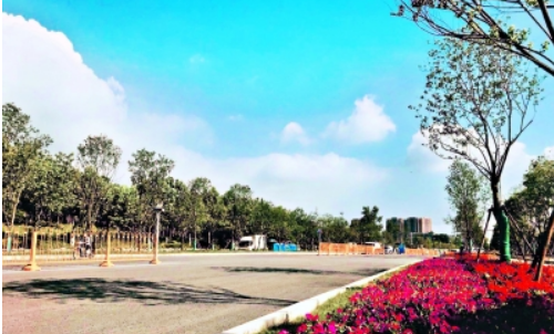 彩虹多多官网-追求健康,你我一起成长