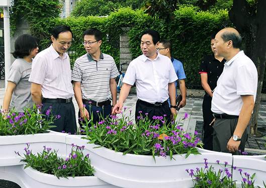 彩虹多多官网-追求健康,你我一起成长