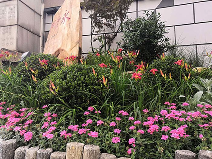 彩虹多多官网-追求健康,你我一起成长