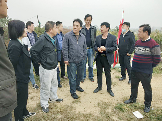 彩虹多多官网-追求健康,你我一起成长