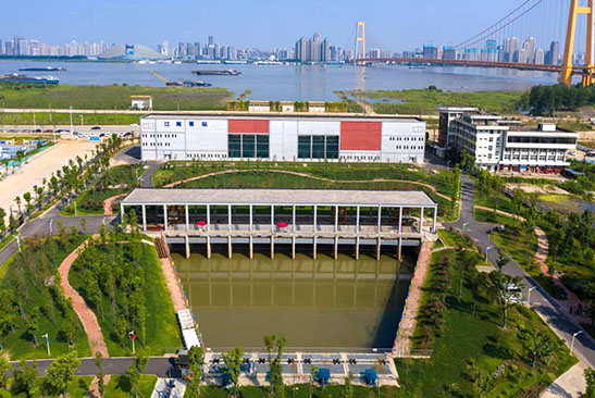 彩虹多多官网-追求健康,你我一起成长