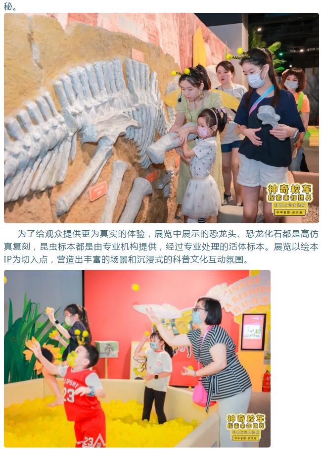 彩虹多多官网-追求健康,你我一起成长
