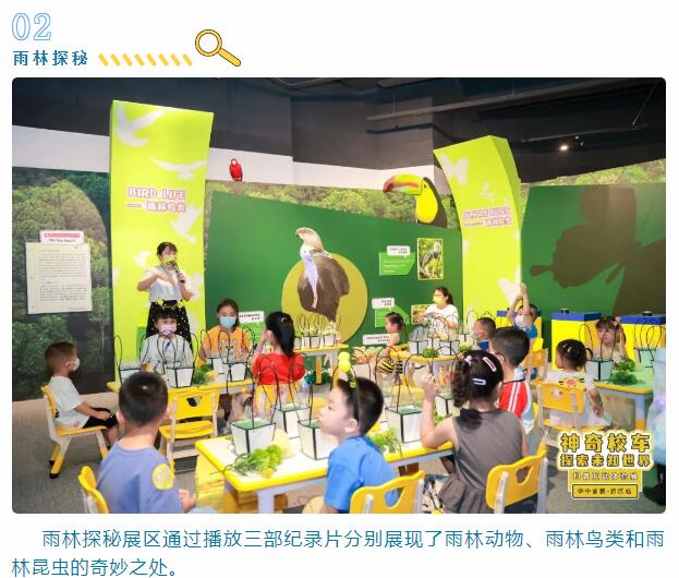 彩虹多多官网-追求健康,你我一起成长