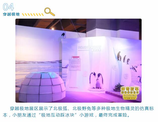 彩虹多多官网-追求健康,你我一起成长