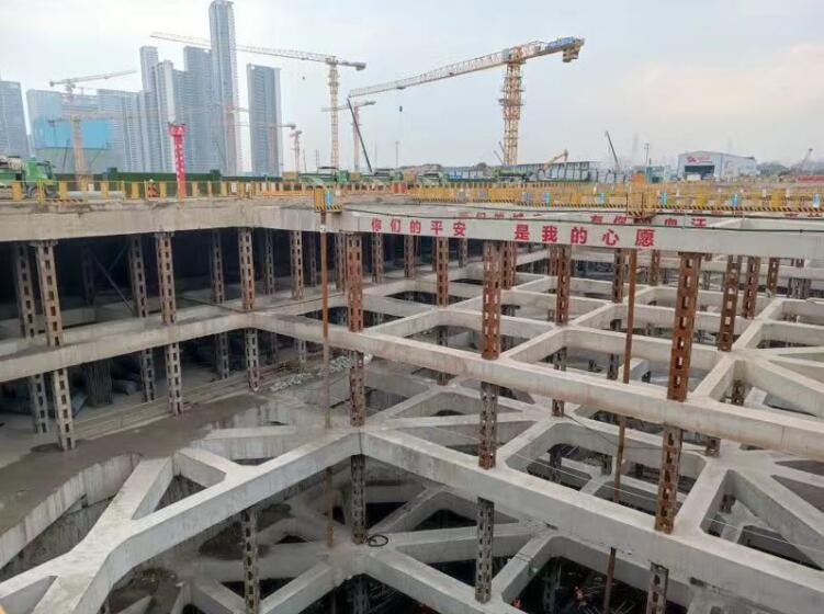 彩虹多多官网-追求健康,你我一起成长
